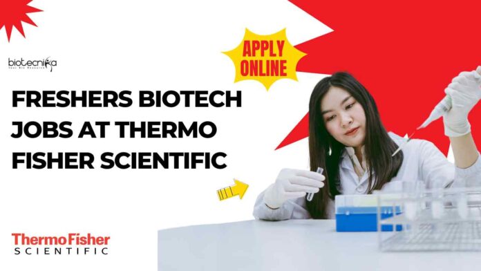 Freshers Biotech Jobs at Thermo Fisher