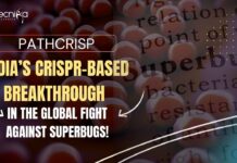 PathCrisp