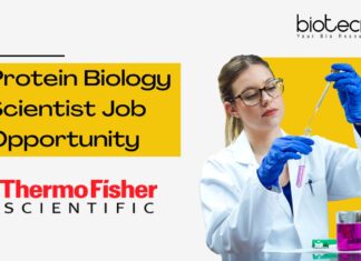 Protein Biology Scientist Job Opportunity