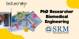 PhD Researcher Biomedical Engineering