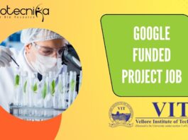 Google Funded Project Job