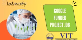 Google Funded Project Job