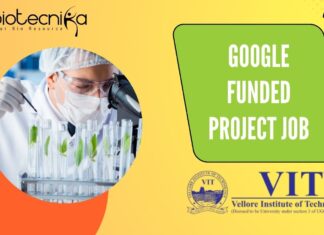 Google Funded Project Job