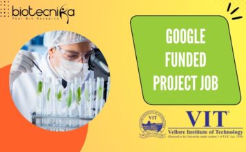 Google Funded Project Job