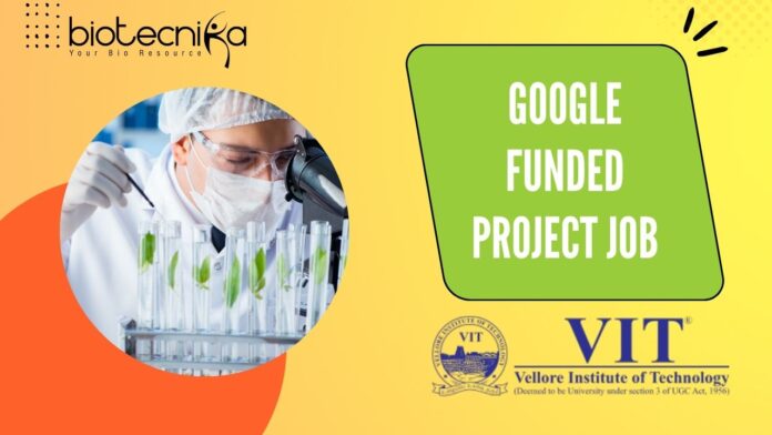 Google Funded Project Job
