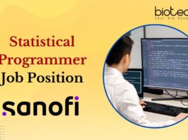 Statistical Programmer Job Position
