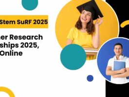 DBT-inStem SuRF 2025