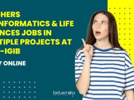 Freshers Bioinformatics Project vacancies