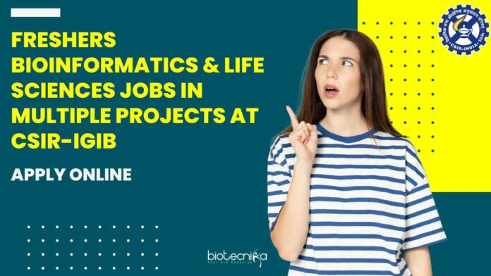 Freshers Bioinformatics Project vacancies
