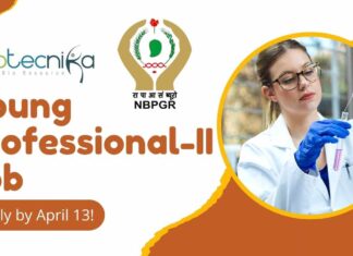 Young Professional Job at ICAR-NBPGR | Apply by April 13!