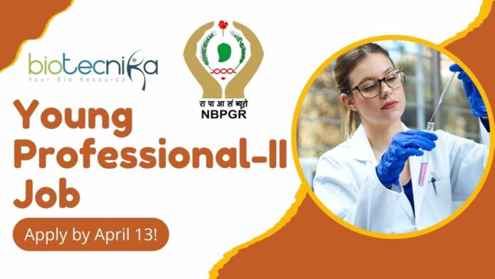 Young Professional Job at ICAR-NBPGR | Apply by April 13!