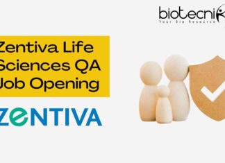 Zentiva Life Sciences QA Job Opening – Apply Online Zentiva Life Sciences QA Job