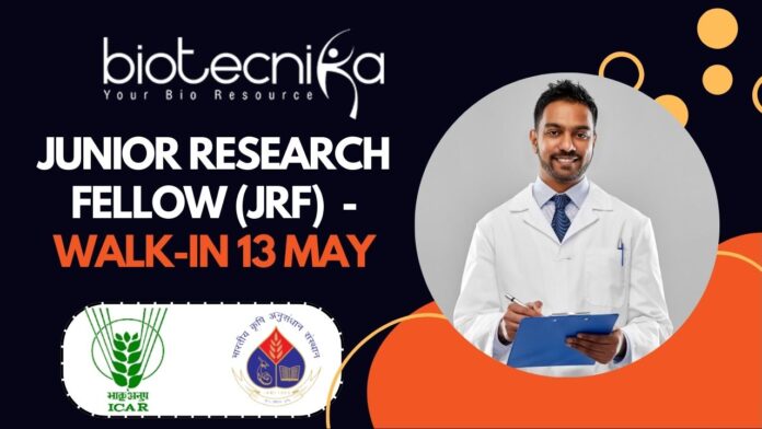 Junior Research Fellow (JRF) - at ICAR-IARI