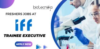 Freshers jobs at IFF