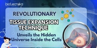 Revolutionary Tissue Expansion Technique Unveils the Hidden Universe Inside Cells