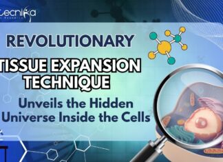 Revolutionary Tissue Expansion Technique Unveils the Hidden Universe Inside Cells