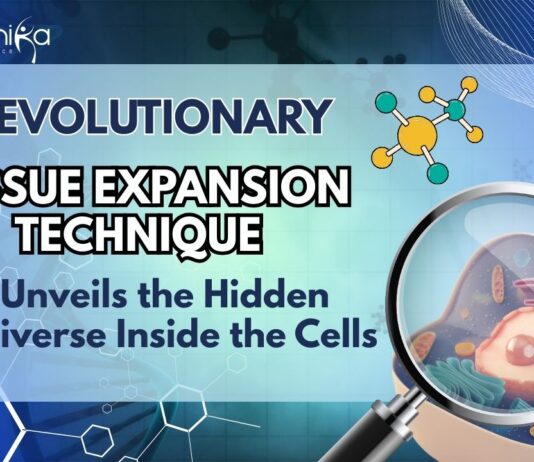 Revolutionary Tissue Expansion Technique Unveils the Hidden Universe Inside Cells