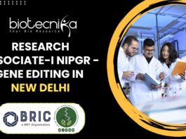 Research Associate-I NIPGR - Gene Editing in New Delhi