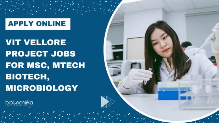 VIT Vellore Project Jobs For MSc
