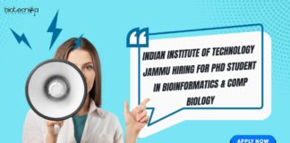 IIT Jammu Hiring