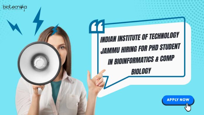 IIT Jammu Hiring