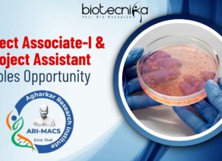 Project Associate-I & Project Assistant Roles Opportunity