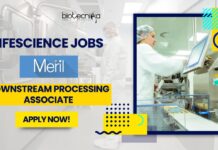 Meril Life Science Jobs as a Downstream Processing Associate - Apply Now!