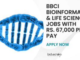 BBCI Bioinformatics Project Jobs