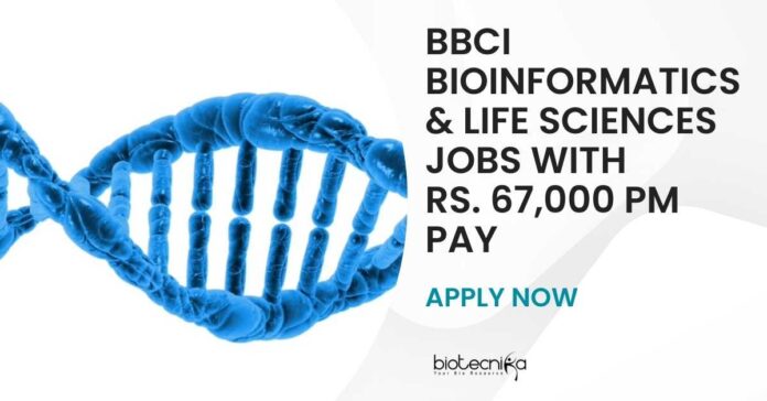 BBCI Bioinformatics Project Jobs