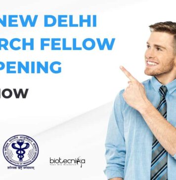 AIIMS New Delhi Research Fellow Job Opening