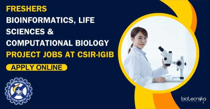 Freshers Bioinformatics Project Jobs at CSIR-IGIB