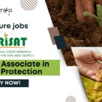 ICRISAT Agriculture jobs