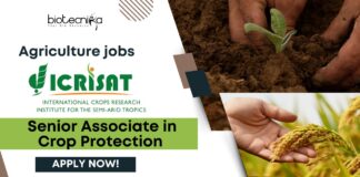 ICRISAT Agriculture jobs