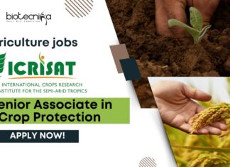 ICRISAT Agriculture jobs