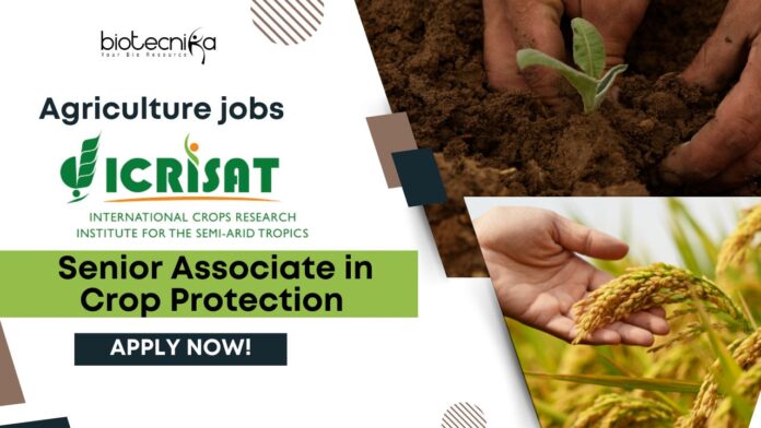 ICRISAT Agriculture jobs