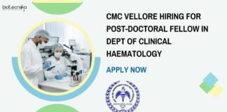 CMC Vellore Hiring For Post-Doctoral Fellow in Dept of Clinical Haematology - Apply Now