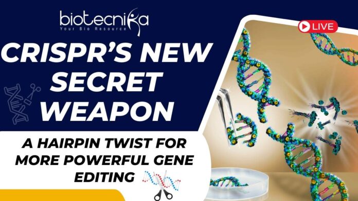 CRISPR’s New Secret Weapon A Hairpin Twist for More Powerful Gene Editing