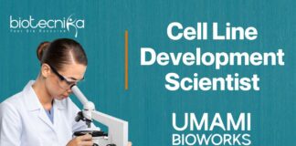 Cell Line Development Scientist at Umami Bioworks Apply Now!