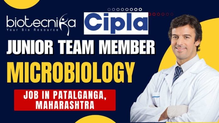 Cipla Junior Team Member – Microbiology Job in Patalganga