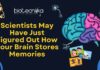 Memory Decoded