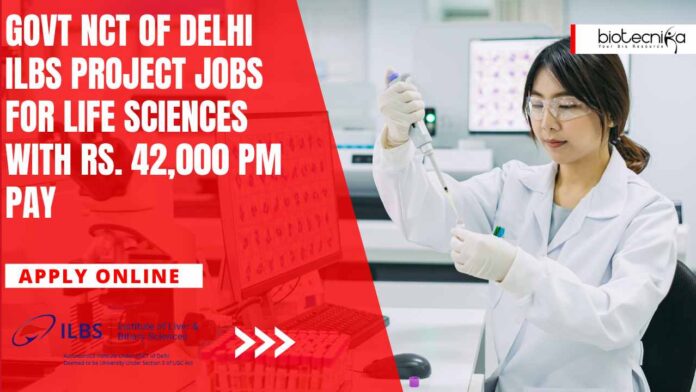 ILBS Project Jobs For Life Sciences
