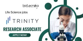 Research Associate jobs