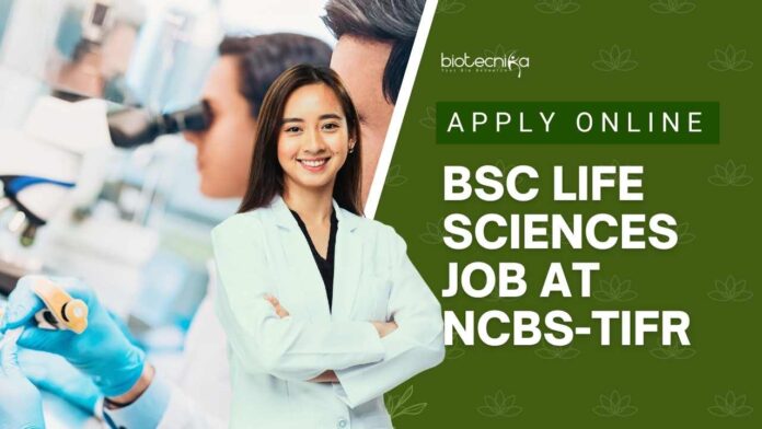 BSc Life Sciences Job at NCBS-TIFR