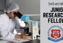 JRF Job at KGMU for MRI-Based Cancer Research- Apply Online Now!