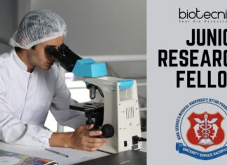 JRF Job at KGMU for MRI-Based Cancer Research- Apply Online Now!