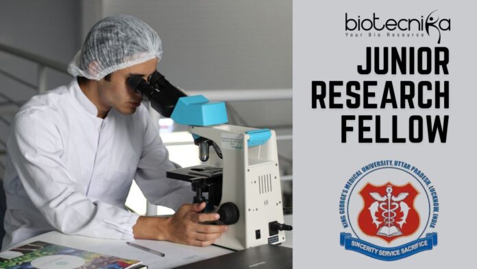JRF Job at KGMU for MRI-Based Cancer Research- Apply Online Now!