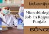 Microbiologist Job At Bunge – Apply Now!! Microbiologist Job at Bunge In Rajpura, Punjab