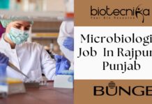 Microbiologist Job At Bunge – Apply Now!! Microbiologist Job at Bunge In Rajpura, Punjab