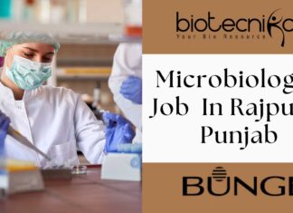 Microbiologist Job At Bunge – Apply Now!! Microbiologist Job at Bunge In Rajpura, Punjab