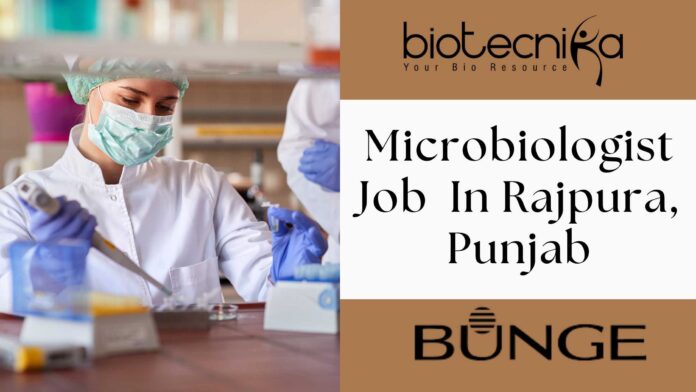 Microbiologist Job at Bunge In Rajpura, Punjab